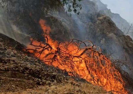 آتش‌سوزی چالش جدی نابودی جنگل‌ها و مراتع چهارمحال و بختیاری است