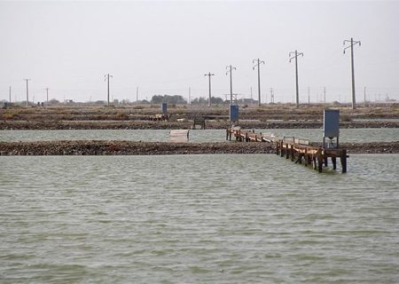 ۲۵۰۰ هکتار زمین ساحلی به ظرفیت پرورش میگو استان بوشهر افزوده می‌شود