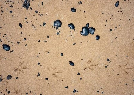 رئیس محیط زیست عسلویه: لکه‌های نفتی ساحل شهر عسلویه را آلوده کرد