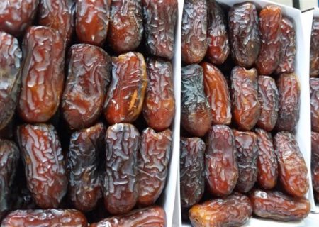 ۸۰ هزار تن خرما شرکت‌های بسته‌بندی استان بوشهر به فروش نرسیده است