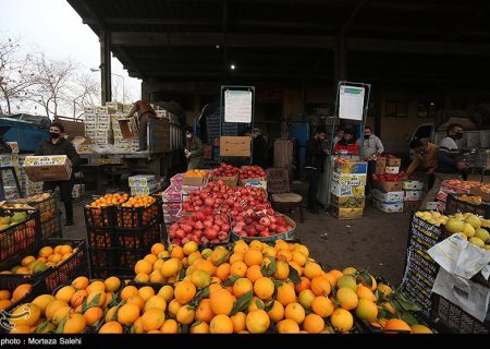 میدان میوه و تره‌بار بوشهر راه‌اندازی شد