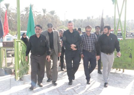 تصویر اختصاصی بازدید معاون وزیر جهاد کشاورزی از نخلستان های دشتستان